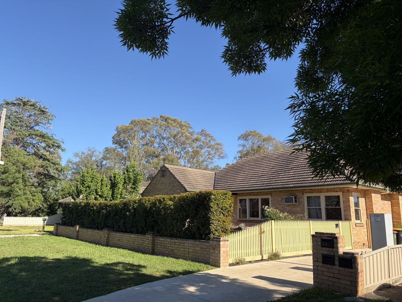 3 Lansell Street from the street: a brick home under tall gum trees, behind a pale picket fence